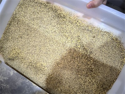 雜糧粉、代餐粉利用微波設(shè)備進(jìn)行干燥殺菌過(guò)程